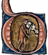 IRHT_083900